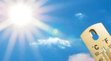 أمطار رعدية قوية.. رياح هابطة تهب على الصحراء الغربية وشمال الصعيد مع تحذيرات الأرصاد